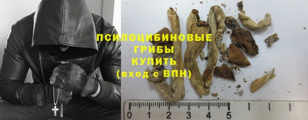 герыч Бородино