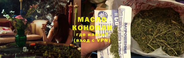 крисы Богородск