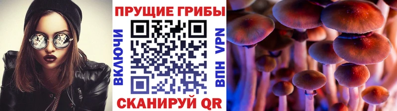 Галлюциногенные грибы MAGIC MUSHROOMS  kraken как зайти  Микунь 